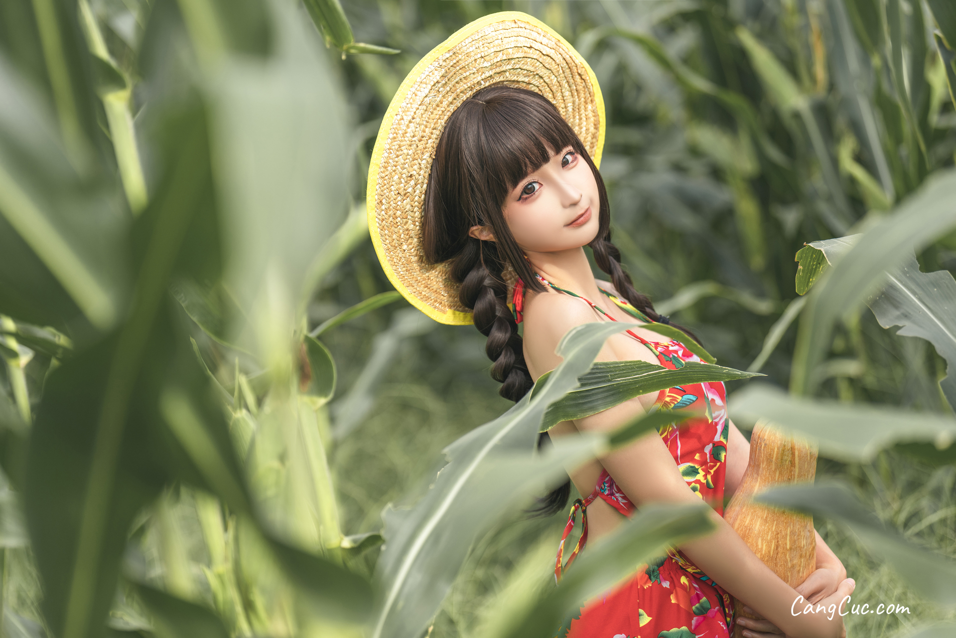 Coser@蠢沫沫 (chunmomo): The Story of Cornfield ảnh 9
